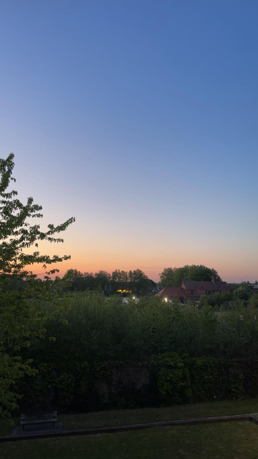 evening pic from room