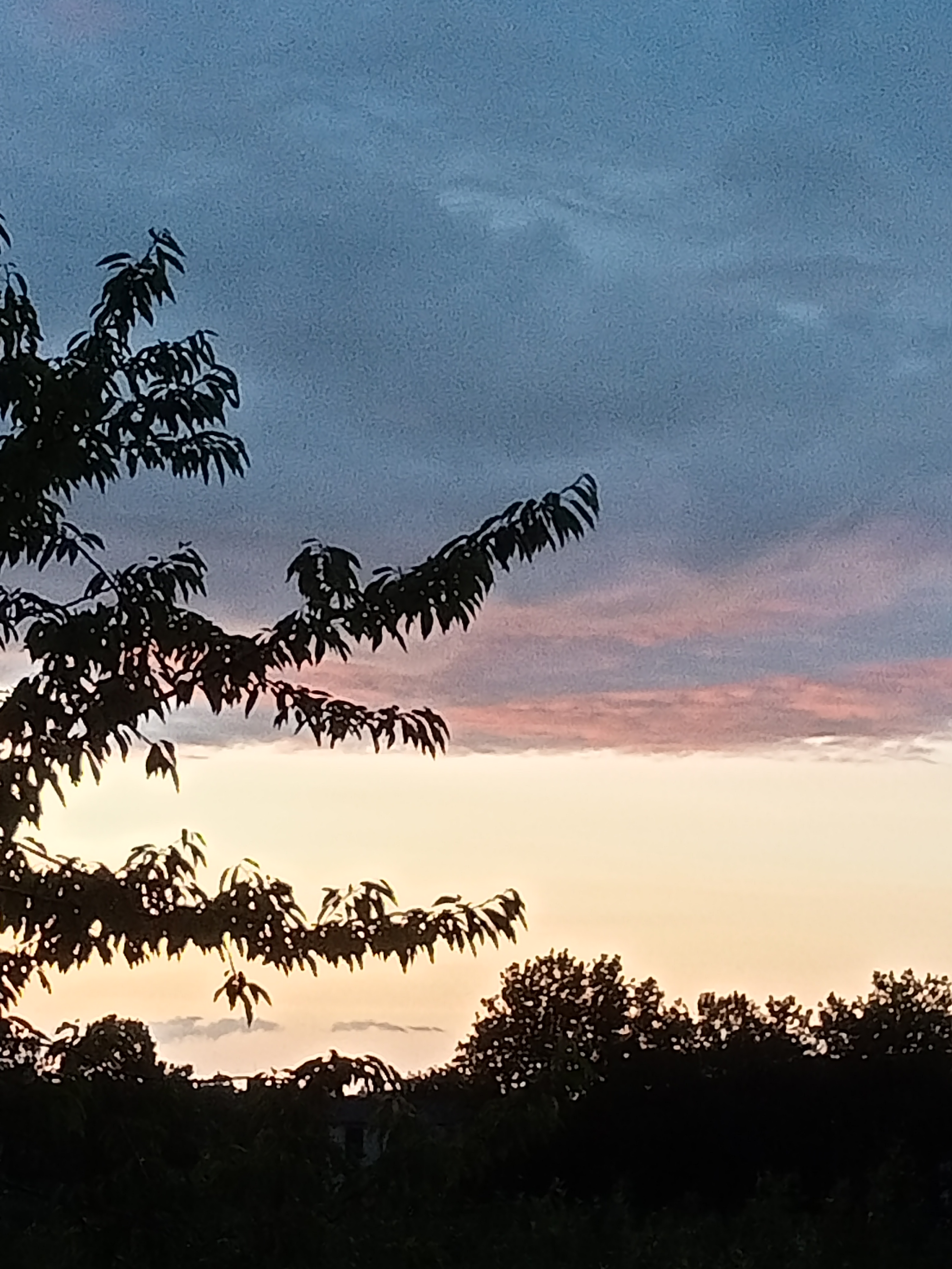 evening pic from room again